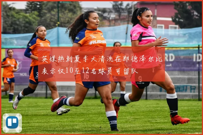英媒热刺夏季大清洗在即德泽尔比表示仅10至12名球员可留队