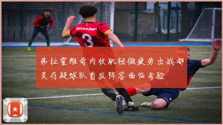 弗拉霍维奇内收肌轻微疲劳出战都灵存疑球队首发阵容面临考验