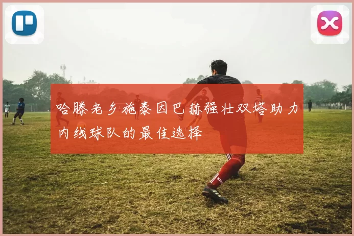 哈滕老乡施泰因巴赫强壮双塔助力内线球队的最佳选择